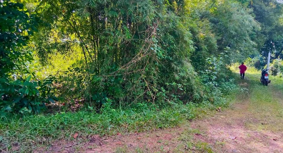 À vendre terrain à Mueang Prachinburi, Prachin Buri