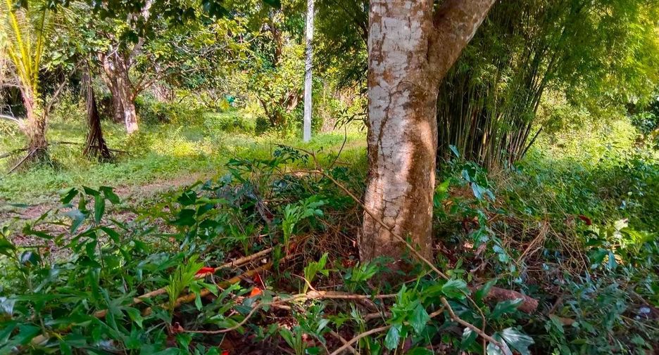 À vendre terrain à Mueang Prachinburi, Prachin Buri