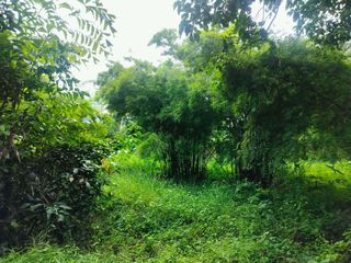 For sale land in Mueang Prachinburi, Prachin Buri