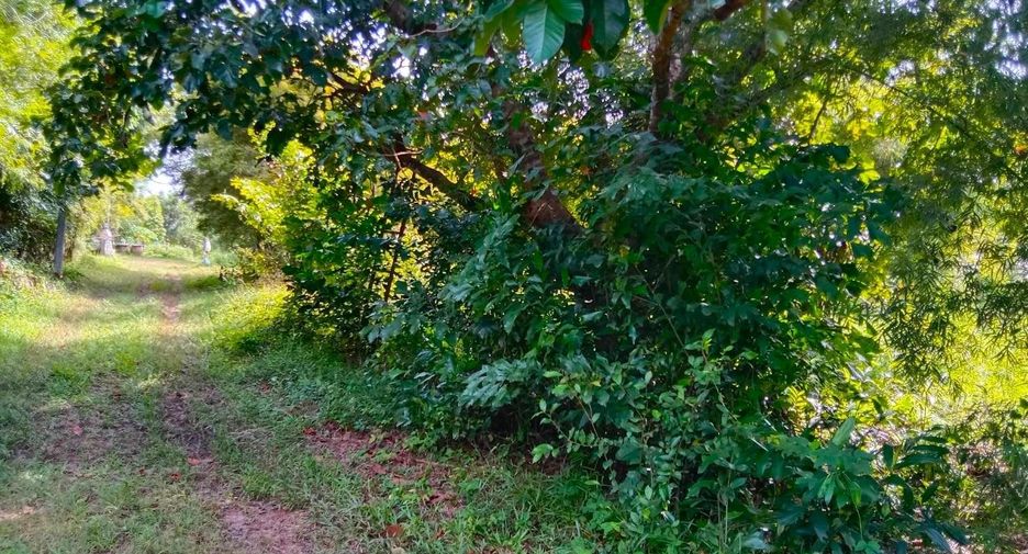 À vendre terrain à Mueang Prachinburi, Prachin Buri