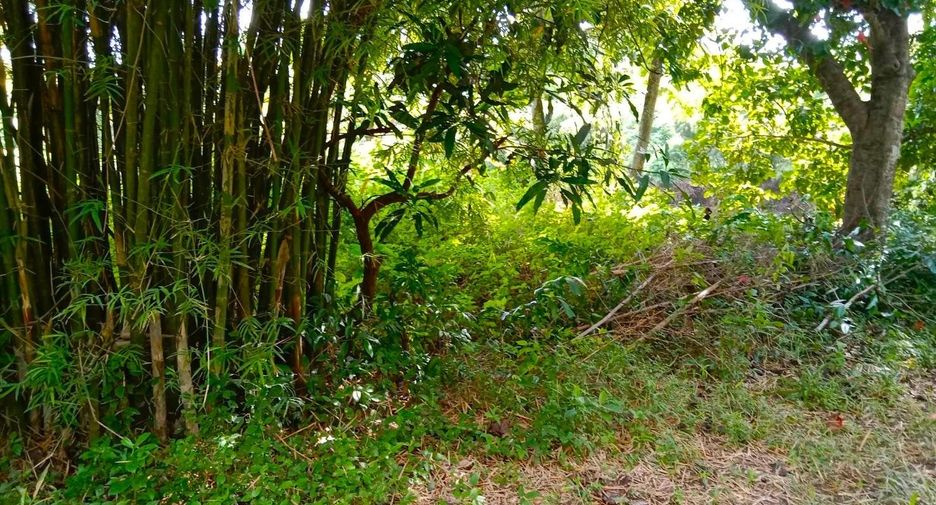 À vendre terrain à Mueang Prachinburi, Prachin Buri