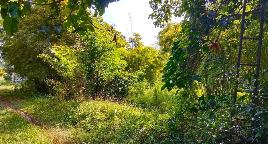 À vendre terrain à Mueang Prachinburi, Prachin Buri