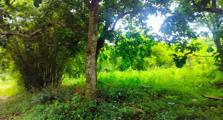 À vendre terrain à Mueang Prachinburi, Prachin Buri