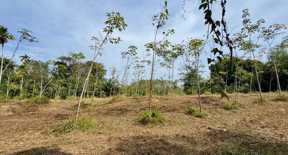 For sale land in Thai Mueang, Phang Nga