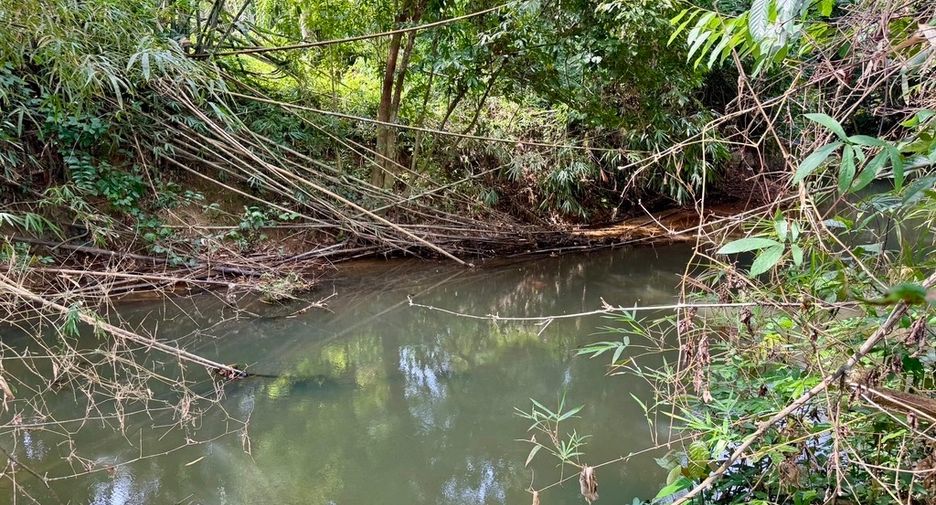 For sale land in Thai Mueang, Phang Nga
