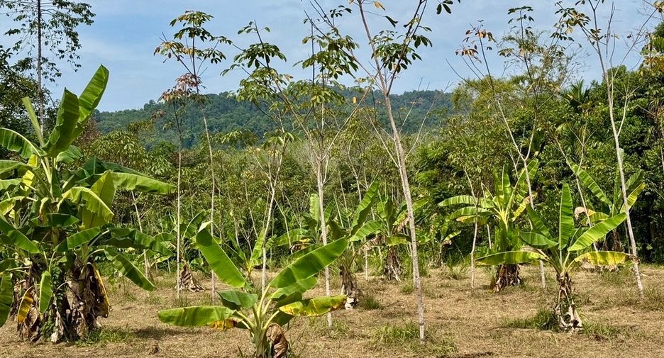 For sale land in Thai Mueang, Phang Nga