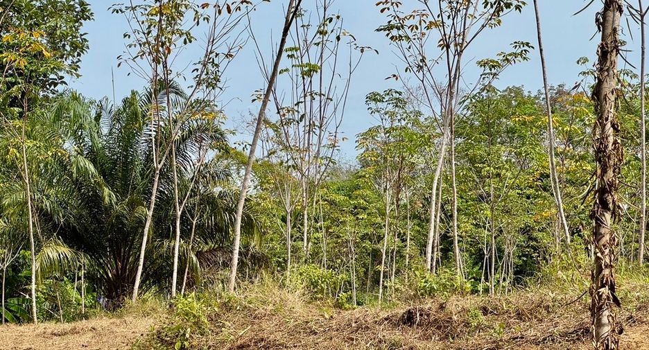 For sale land in Thai Mueang, Phang Nga