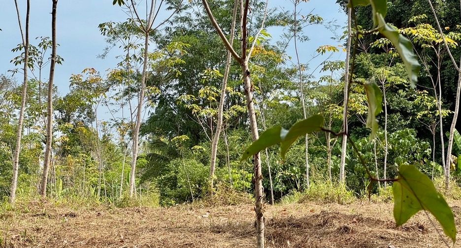 For sale land in Thai Mueang, Phang Nga