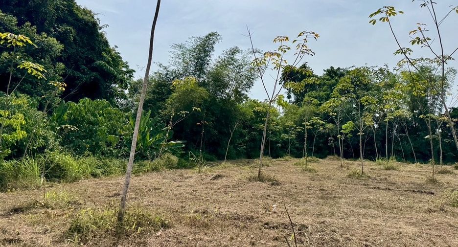 For sale land in Thai Mueang, Phang Nga