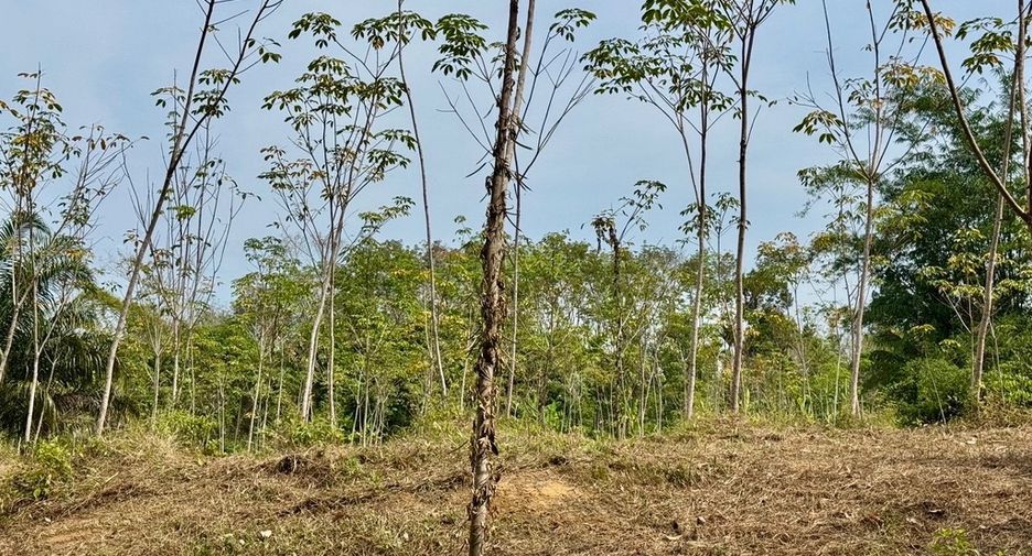 For sale land in Thai Mueang, Phang Nga