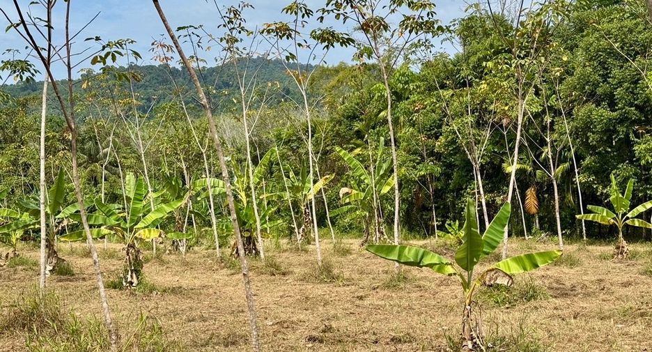 For sale land in Thai Mueang, Phang Nga