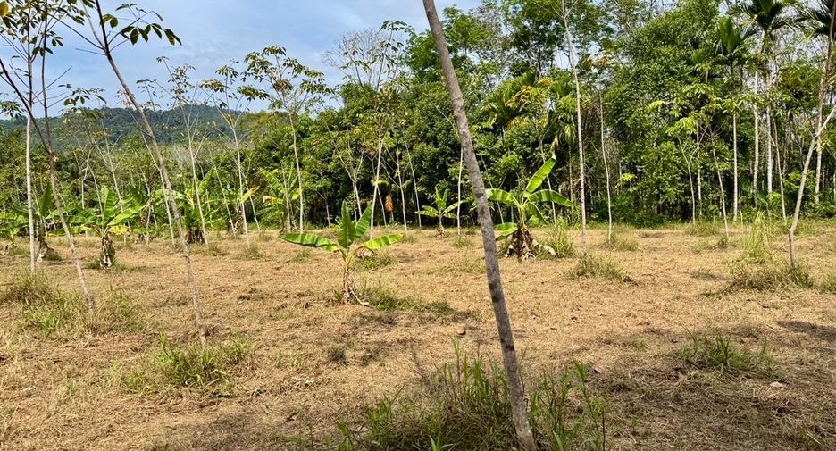 For sale land in Thai Mueang, Phang Nga