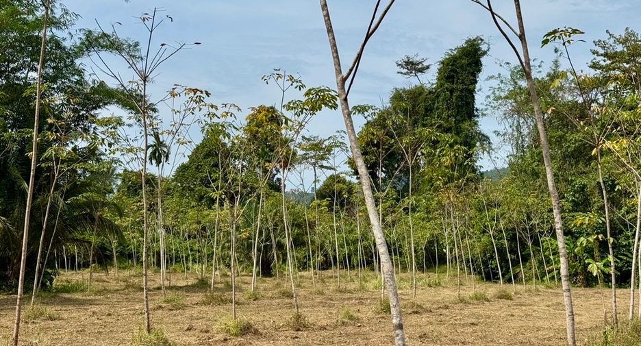 For sale land in Thai Mueang, Phang Nga
