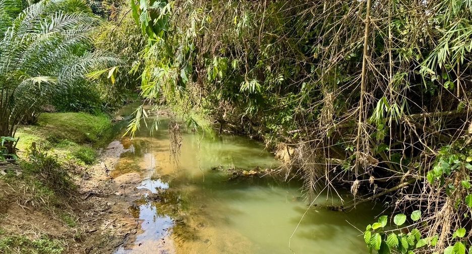 For sale land in Thai Mueang, Phang Nga