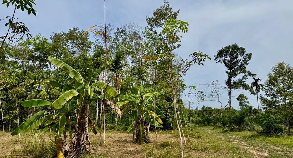 For sale land in Thai Mueang, Phang Nga