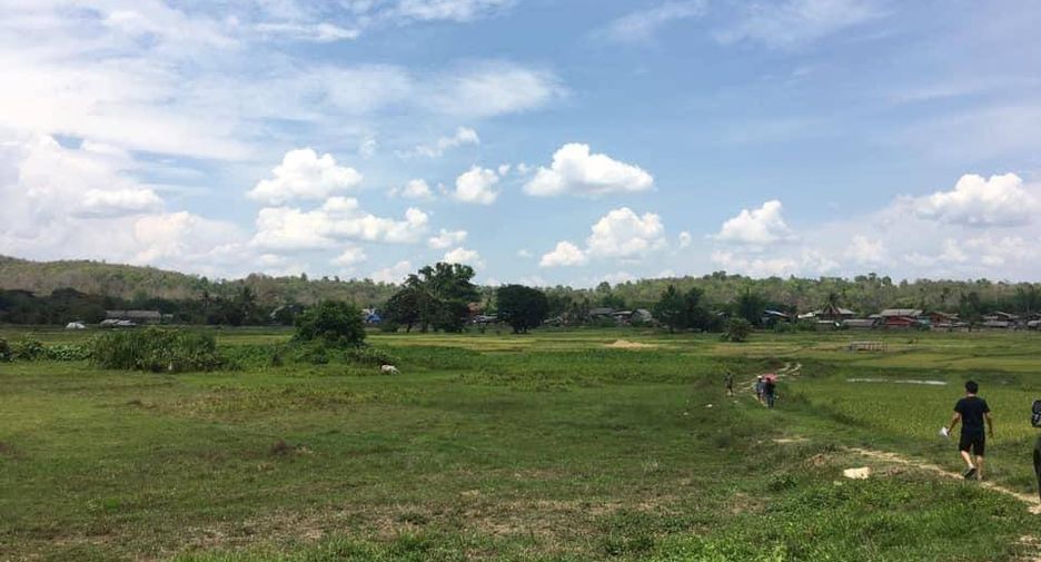 For sale land in Mueang Pan, Lampang