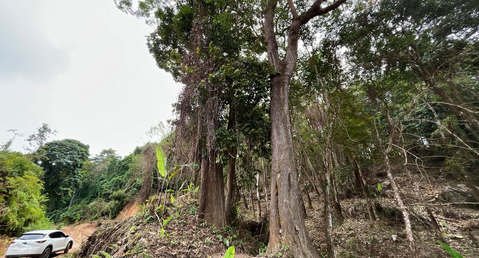 For sale land in Kathu, Phuket