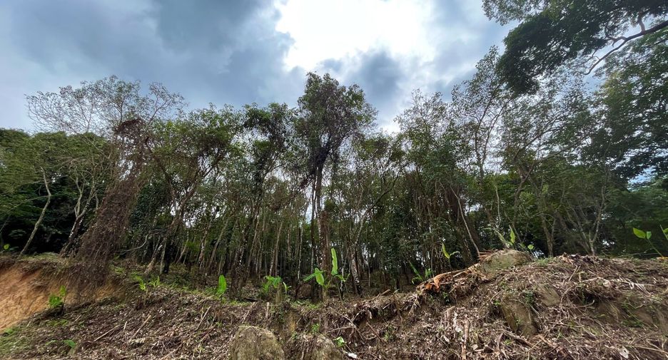 For sale land in Kathu, Phuket