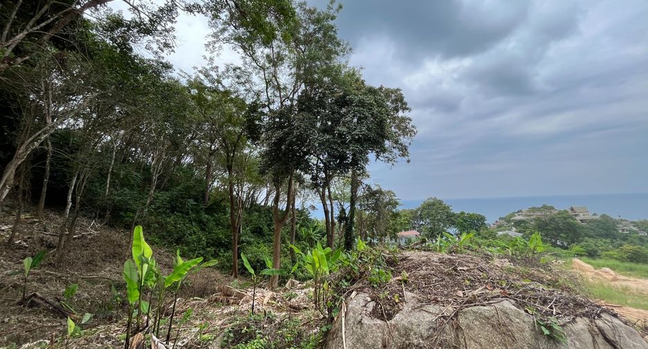 For sale land in Kathu, Phuket