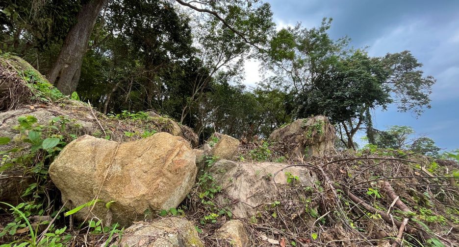 For sale land in Kathu, Phuket