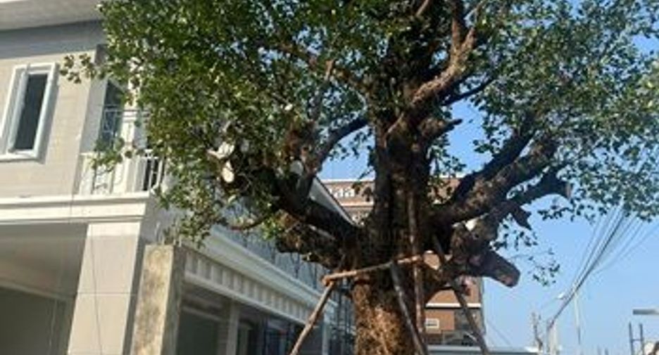 Haus zum Kauf mit 6 Zimmer in Prawet, Bangkok