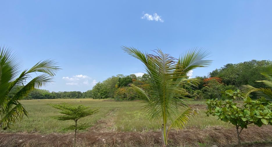 For rent 2 ベッドルーム house in Mae Rim, Chiang Mai