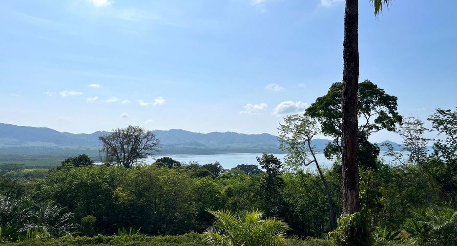 Grundstück zum Kauf in Takua Thung, Phang Nga