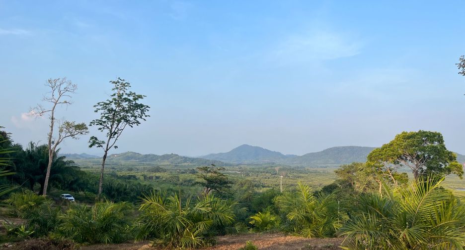 Grundstück zum Kauf in Takua Thung, Phang Nga