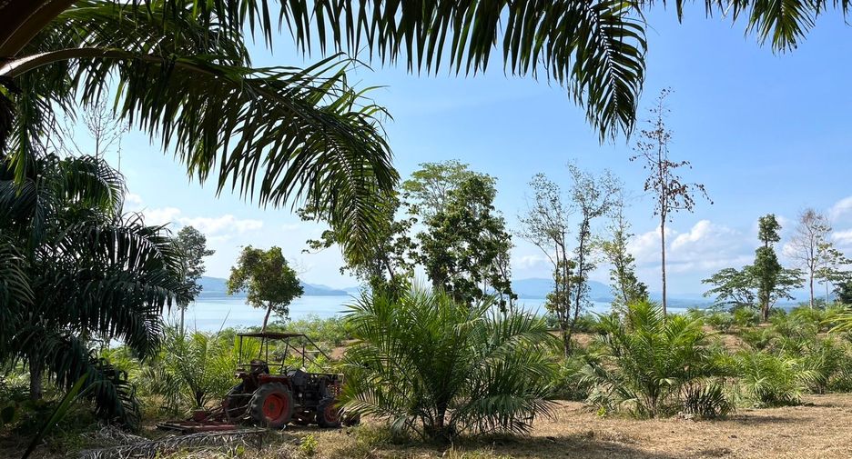 Grundstück zum Kauf in Takua Thung, Phang Nga