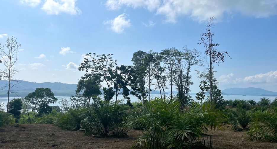 Grundstück zum Kauf in Takua Thung, Phang Nga