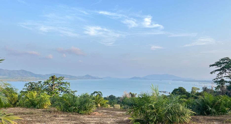 Grundstück zum Kauf in Takua Thung, Phang Nga