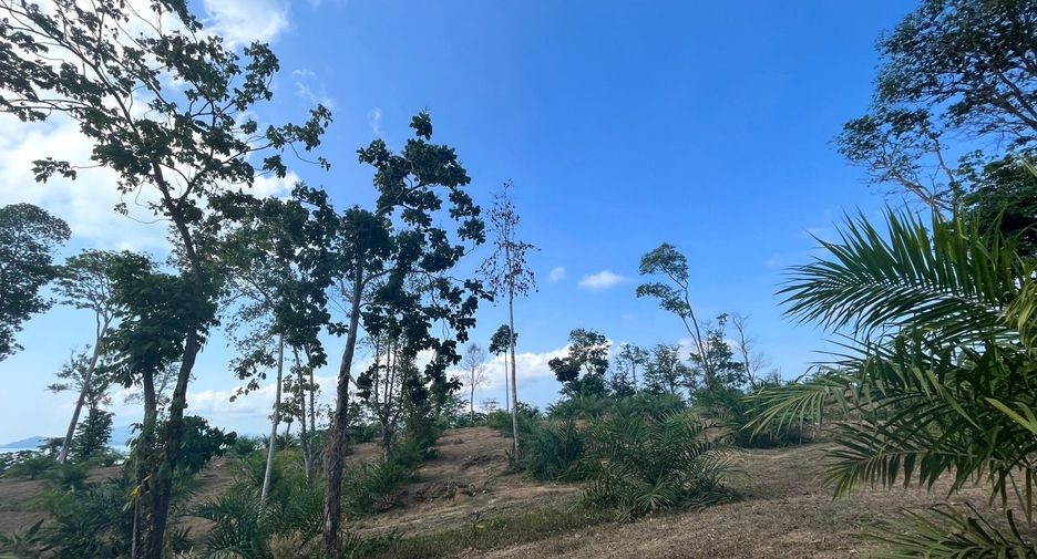 Grundstück zum Kauf in Takua Thung, Phang Nga