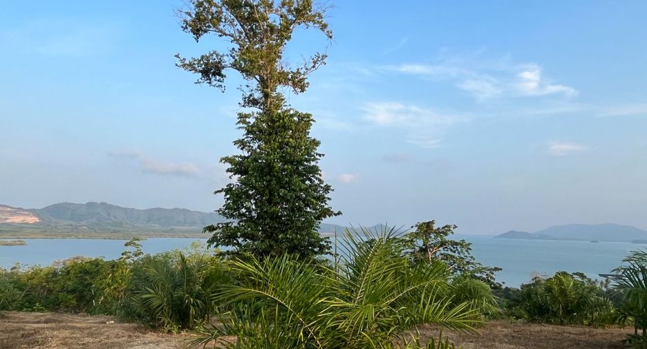 Grundstück zum Kauf in Takua Thung, Phang Nga