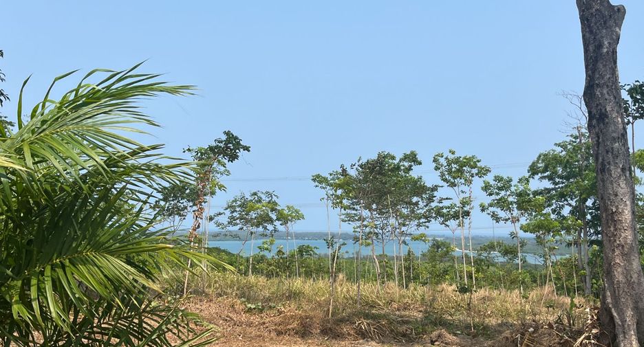 Grundstück zum Kauf in Takua Thung, Phang Nga
