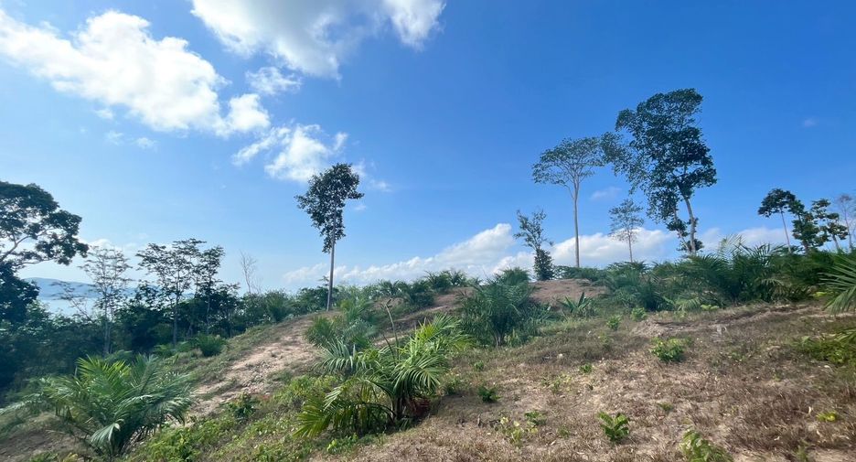 Grundstück zum Kauf in Takua Thung, Phang Nga