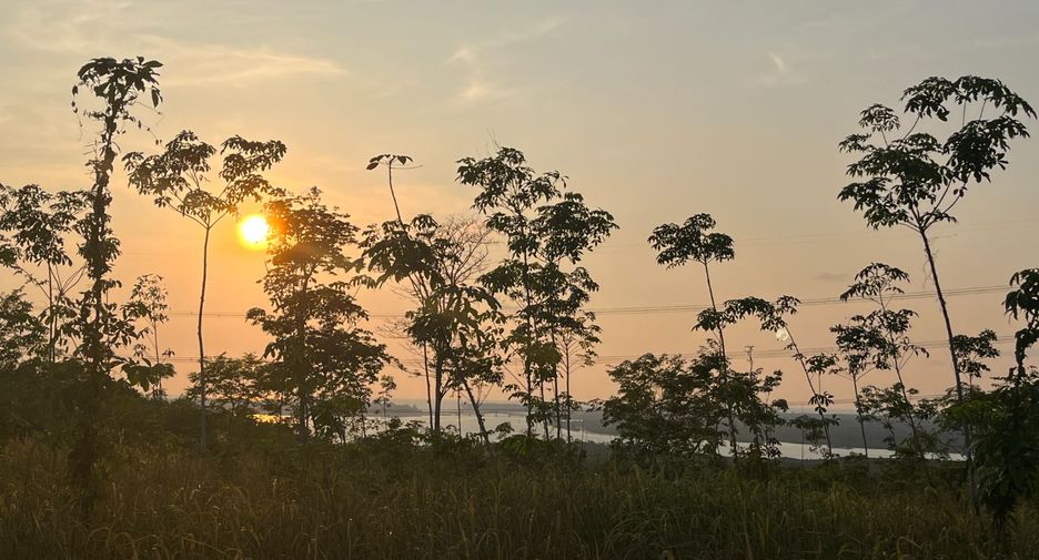 Grundstück zum Kauf in Takua Thung, Phang Nga