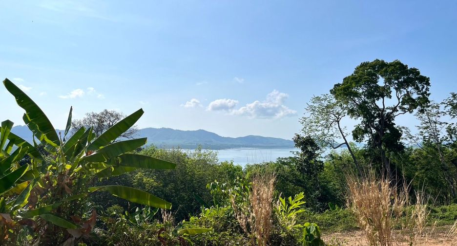 Grundstück zum Kauf in Takua Thung, Phang Nga