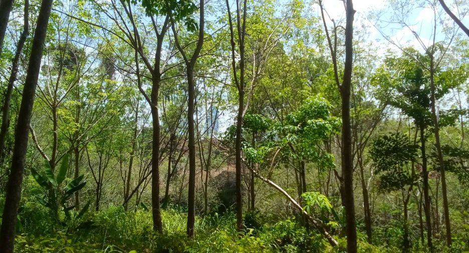 Terreno en venta en Thai Mueang, Phang Nga
