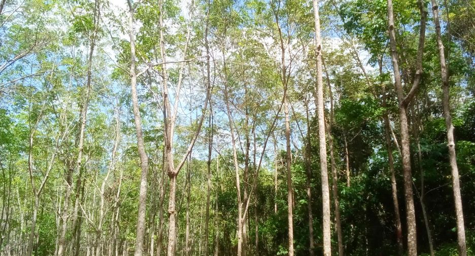 Terreno en venta en Thai Mueang, Phang Nga