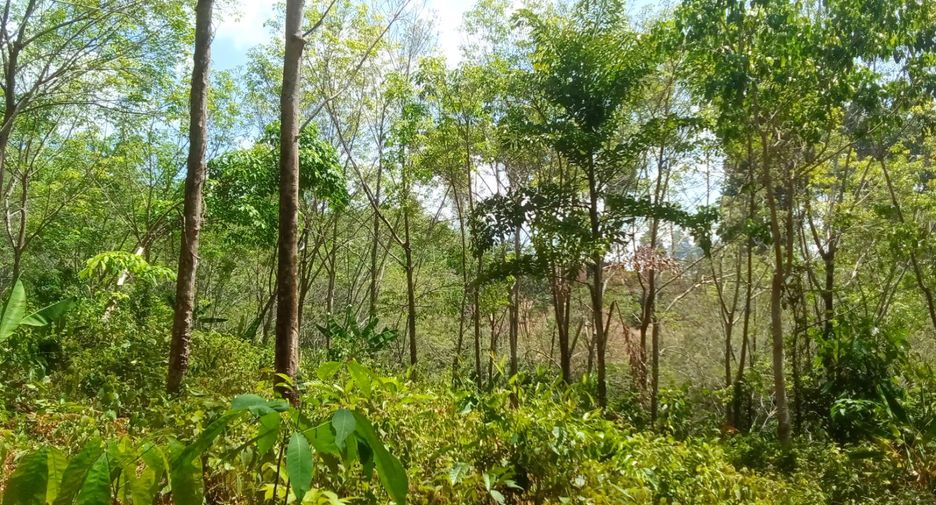 Terreno en venta en Thai Mueang, Phang Nga