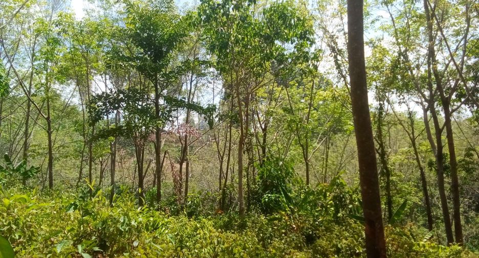 Terreno en venta en Thai Mueang, Phang Nga
