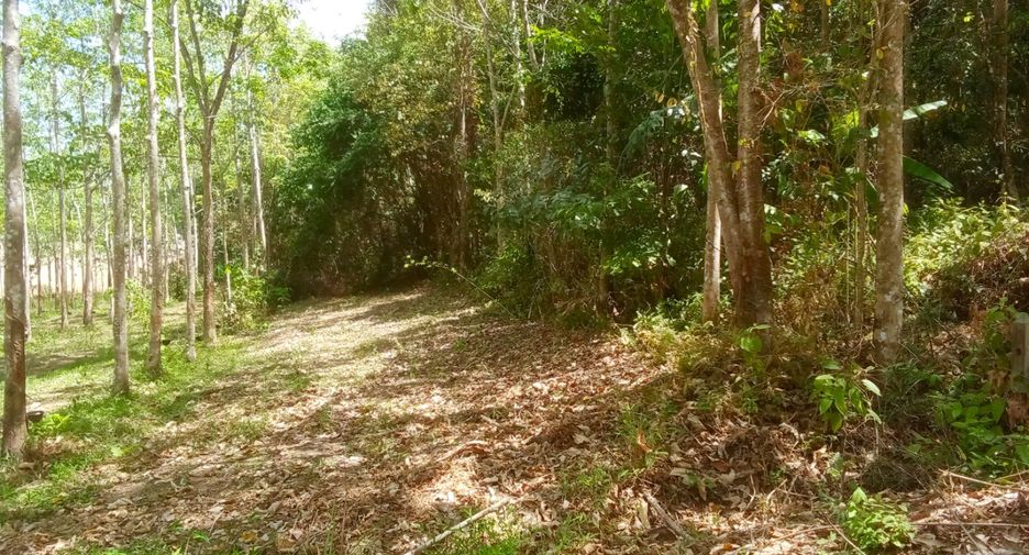 Terreno en venta en Thai Mueang, Phang Nga