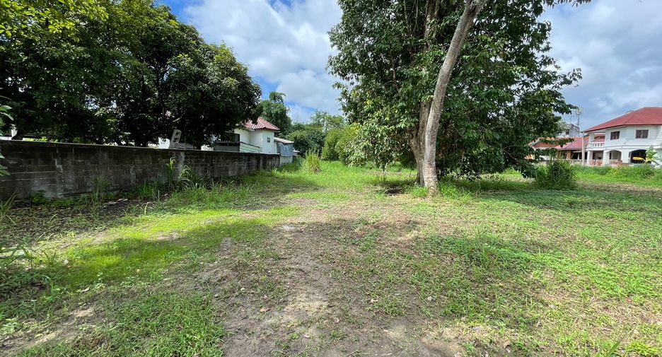 For sale land in Mae Rim, Chiang Mai