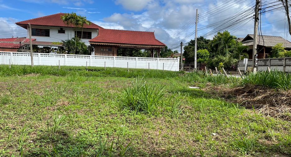 For sale land in Mae Rim, Chiang Mai