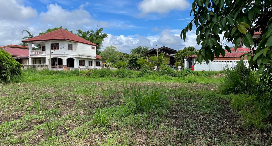 For sale land in Mae Rim, Chiang Mai