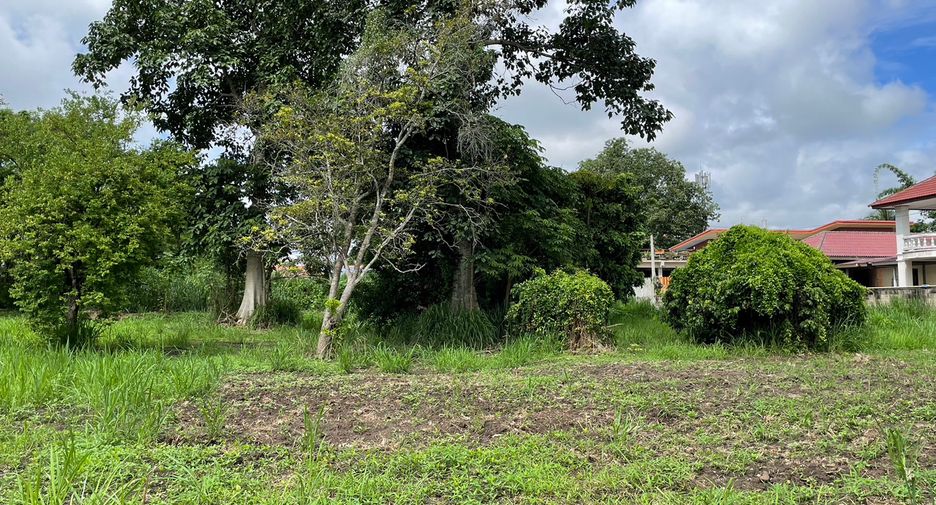 For sale land in Mae Rim, Chiang Mai