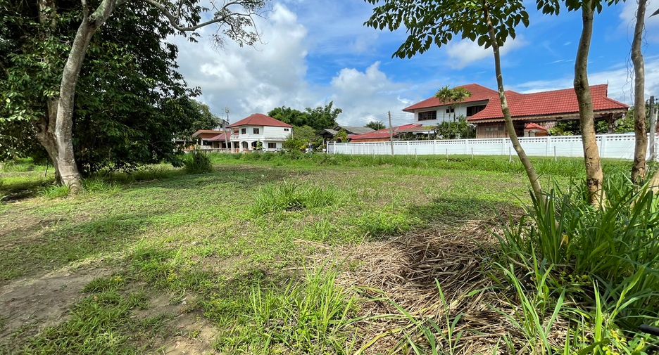 For sale land in Mae Rim, Chiang Mai