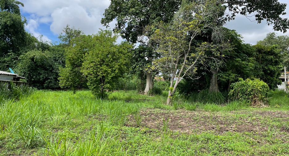 For sale land in Mae Rim, Chiang Mai