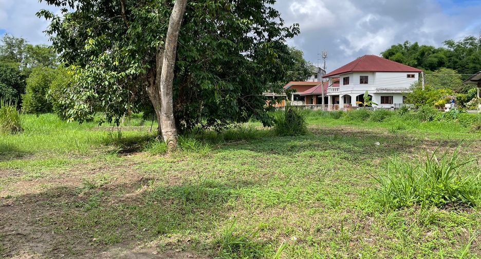 For sale land in Mae Rim, Chiang Mai