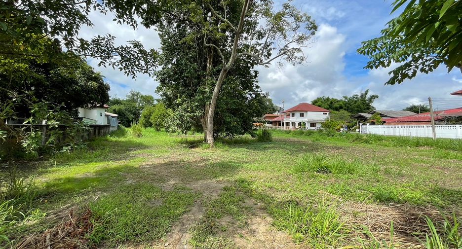 For sale land in Mae Rim, Chiang Mai